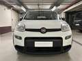 Fiat Panda Panda III 1.0 FIREFLY HYBRID S | UNIPROPRIETARIO | Bianco - thumbnail 3