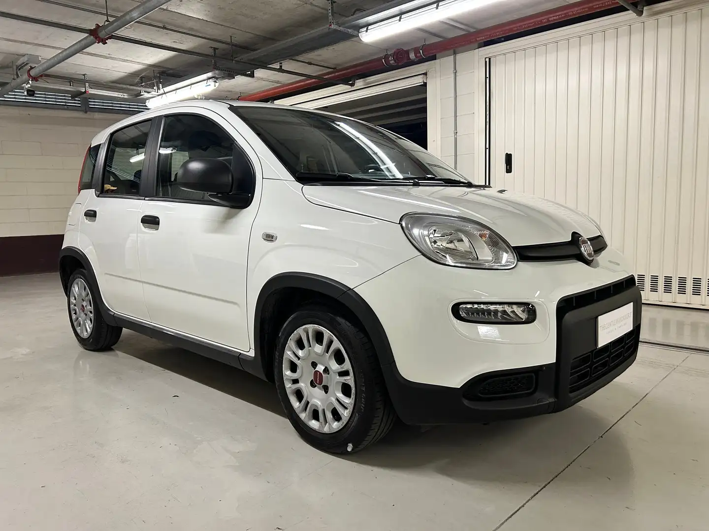 Fiat Panda Panda III 1.0 FIREFLY HYBRID S | UNIPROPRIETARIO | Bianco - 2