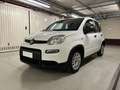 Fiat Panda Panda III 1.0 FIREFLY HYBRID S | UNIPROPRIETARIO | Bianco - thumbnail 1