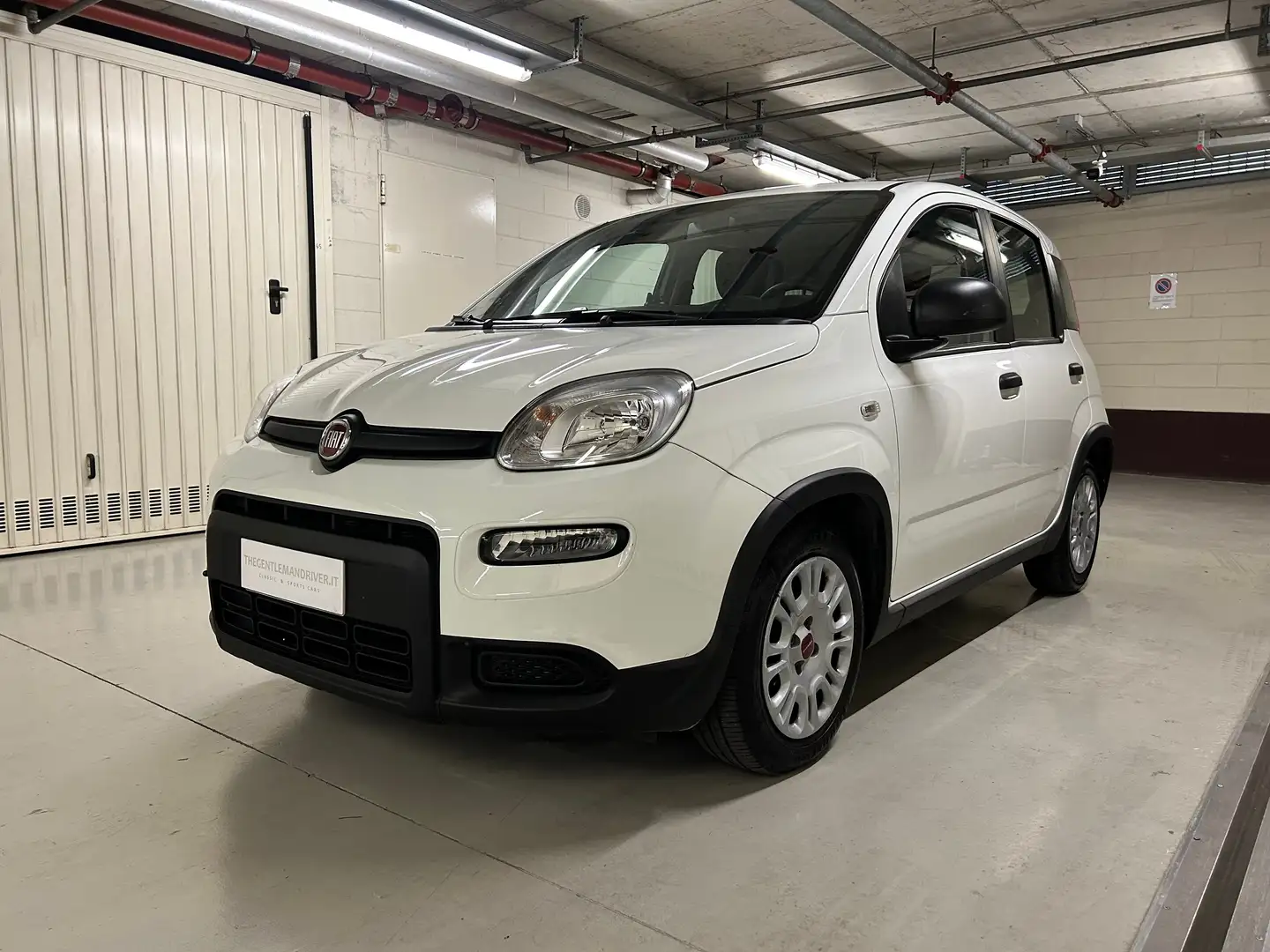 Fiat Panda Panda III 1.0 FIREFLY HYBRID S | UNIPROPRIETARIO | Bianco - 1
