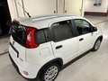 Fiat Panda Panda III 1.0 FIREFLY HYBRID S | UNIPROPRIETARIO | Bianco - thumbnail 5