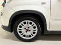 Fiat Panda Panda III 1.0 FIREFLY HYBRID S | UNIPROPRIETARIO | Bianco - thumbnail 6