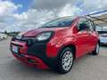 Fiat Panda Panda 1.2 Pop Rosso - thumbnail 8