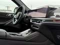 BMW X6 xDrive30d M-Sportpaket Pro Grau - thumbnail 20