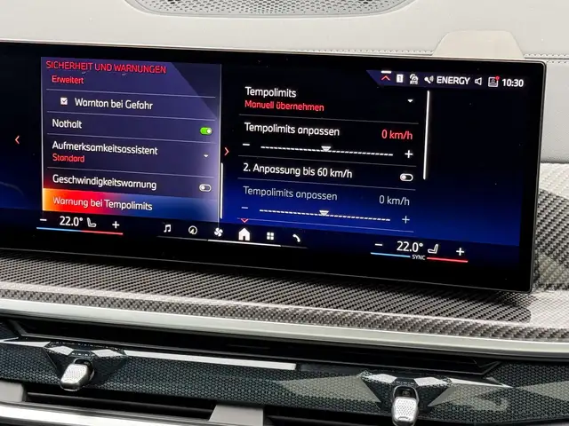 BMW X6 xDrive30d M-Sportpaket Pro Ansicht 33