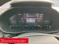 Skoda Fabia 1.0 TSI Tour MATRIX SITZHEIZUNG ANDROID-AUTO APPLE Grau - thumbnail 14