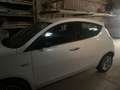 Lancia Ypsilon 1.2 69 CV 5 porte Silver Weiß - thumbnail 3