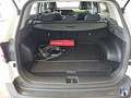 Kia Sportage 1.6 T-GDI Plug-in Hybrid Kamera/ACC Weiß - thumbnail 5