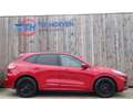 Ford Kuga 2.0 EcoBlue Hybrid ST-Line 110KW Euro 6 Rot - thumbnail 4