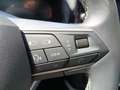 SEAT Ibiza 1.0 TSI S&S Special Edition 115 Gris - thumbnail 10