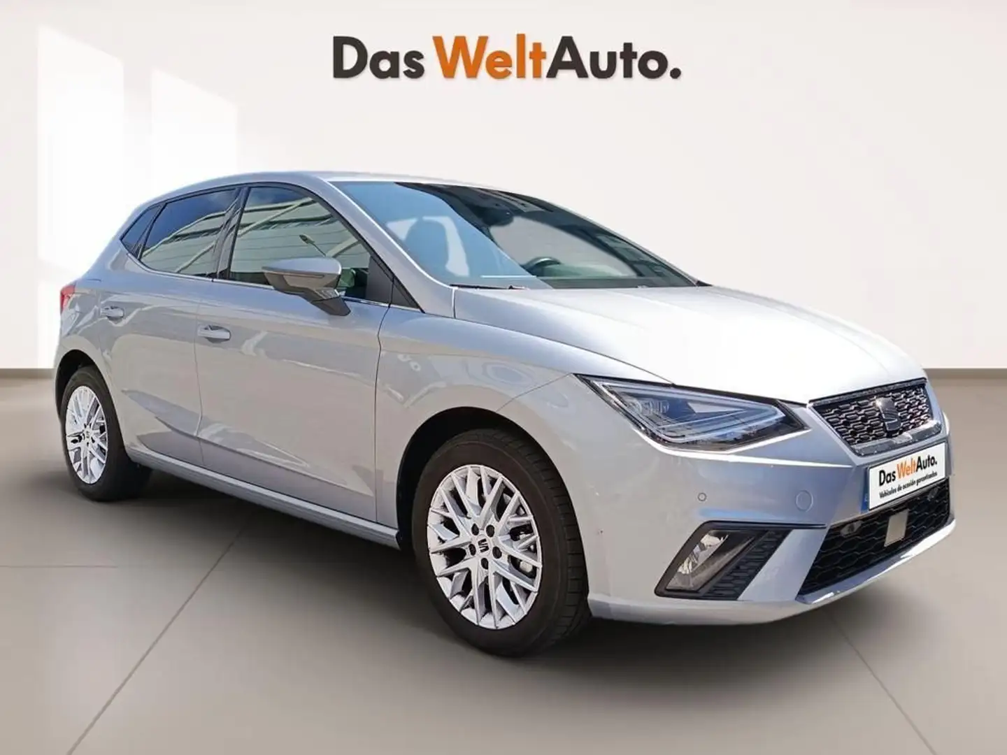 SEAT Ibiza 1.0 TSI S&S Special Edition 115 Gris - 1