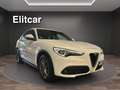 Alfa Romeo Stelvio 2.2 Turbodiesel 180 CV AT8 RWD Business Blanc - thumbnail 3