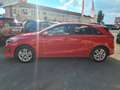Kia Ceed / cee'd 1.4 Edition FACELIFT / SHZ+GRA+CAM Rot - thumbnail 8