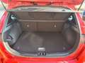 Kia Ceed / cee'd 1.4 Edition FACELIFT / SHZ+GRA+CAM Rot - thumbnail 20