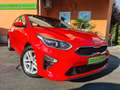 Kia Ceed / cee'd 1.4 Edition FACELIFT / SHZ+GRA+CAM Rot - thumbnail 1