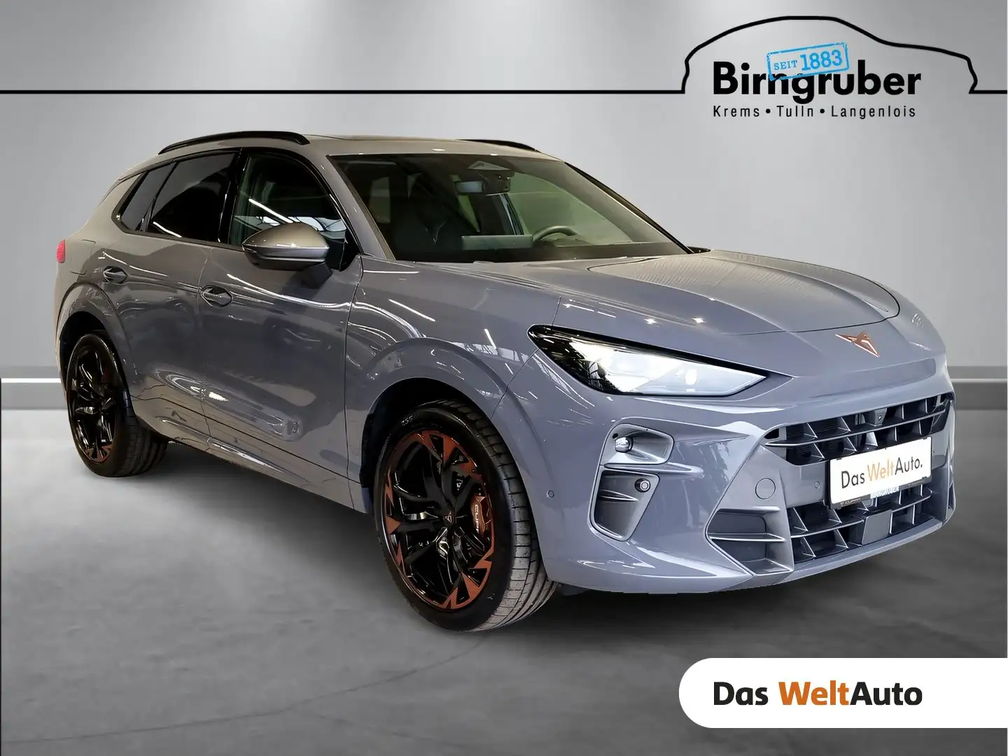 CUPRA Terramar VZ 2.0 TSI 265 PS DSG 4Drive Gris - 1