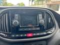 Fiat Doblo Doblò 1.6 MJT 105CV PC-TN Cargo Lamierato SX 3 Po Bianco - thumbnail 14