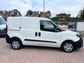 Fiat Doblo Doblò 1.6 MJT 105CV PC-TN Cargo Lamierato SX 3 Po Bianco - thumbnail 5