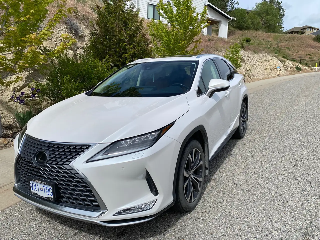Lexus RX photo Lexus RX