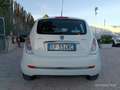 Lancia Ypsilon Ypsilon 1.3 MJT 75 CV Unyca Weiß - thumbnail 8