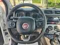 Fiat Panda 1.0 FireFly S&S Hybrid City Life Weiß - thumbnail 15