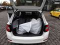 Skoda Fabia Combi 1.0 TSI AHK DAB+ Klimaanlage Weiß - thumbnail 15