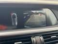 Alfa Romeo Stelvio Stelvio 2.2 Turbodiesel 210 CV AT8 Q4 Veloce #naz - thumbnail 20