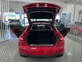 Audi A5 Sportback 40 TDI quattro S tronic Rojo - thumbnail 9