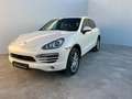 Porsche Cayenne Diesel 245 Aut. Blanc - thumbnail 1