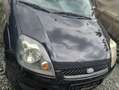 Ford Fiesta Fiesta Fifty 1,4 TDCi Fifty Schwarz - thumbnail 11