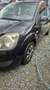 Ford Fiesta Fiesta Fifty 1,4 TDCi Fifty Schwarz - thumbnail 13