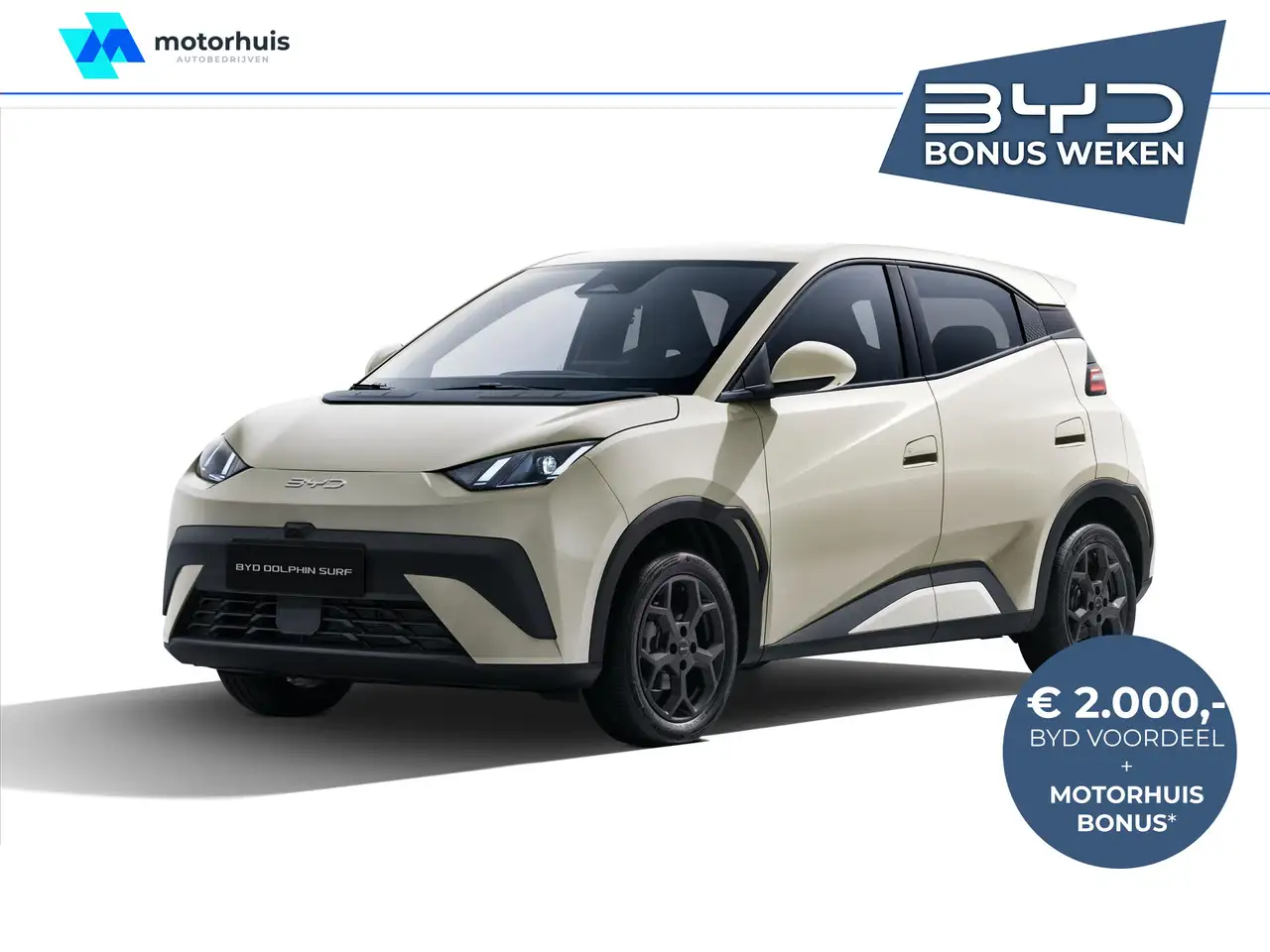 BYD DOLPHIN SURF