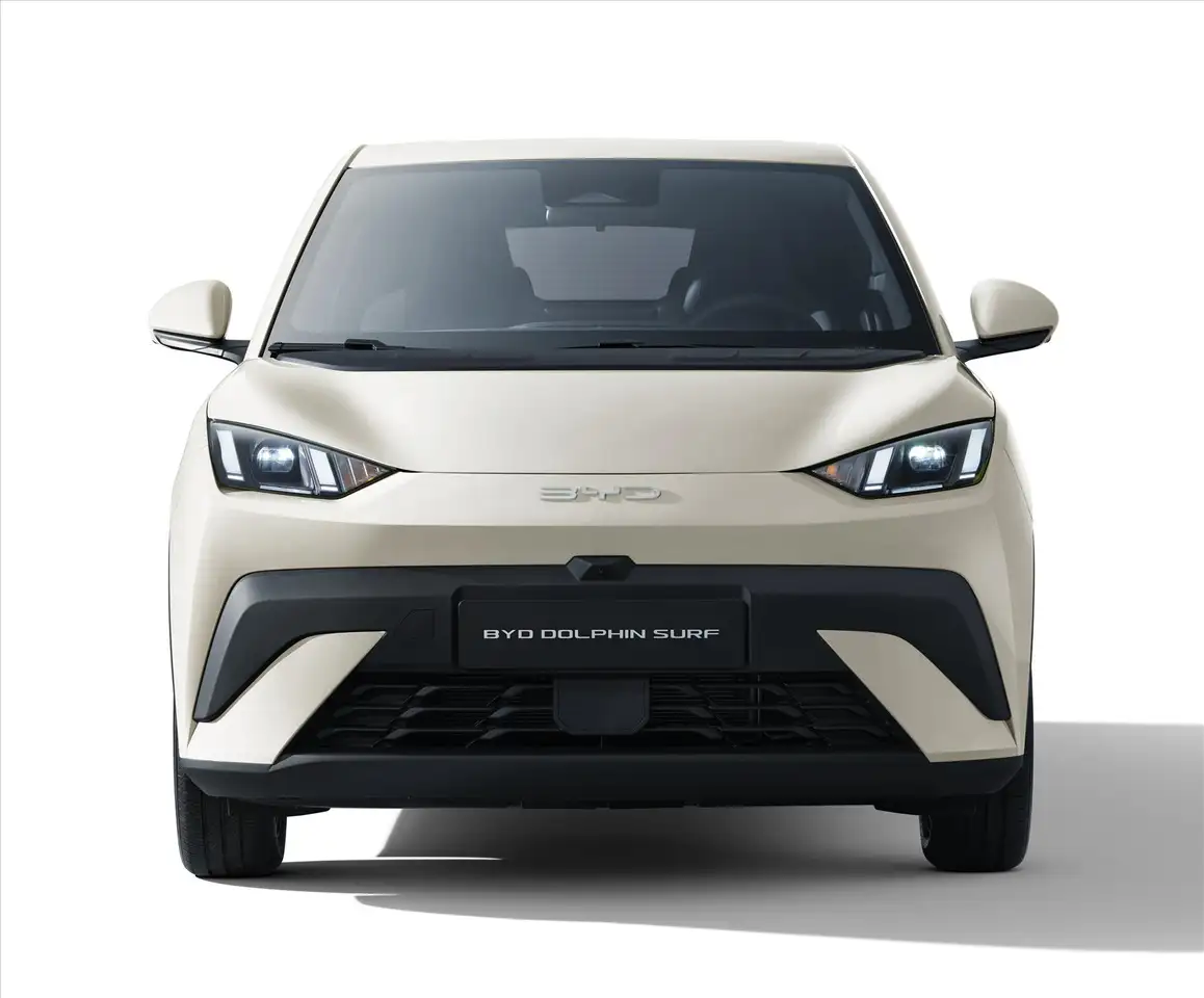 BYD DOLPHIN SURF