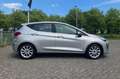 Ford Fiesta 1.0 EcoBoost 95PK Titanium Gris - thumbnail 9
