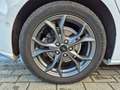Ford Focus 1.0 EcoBoost ST-Line - Garantie 12 mois - Nivelles Wit - thumbnail 23