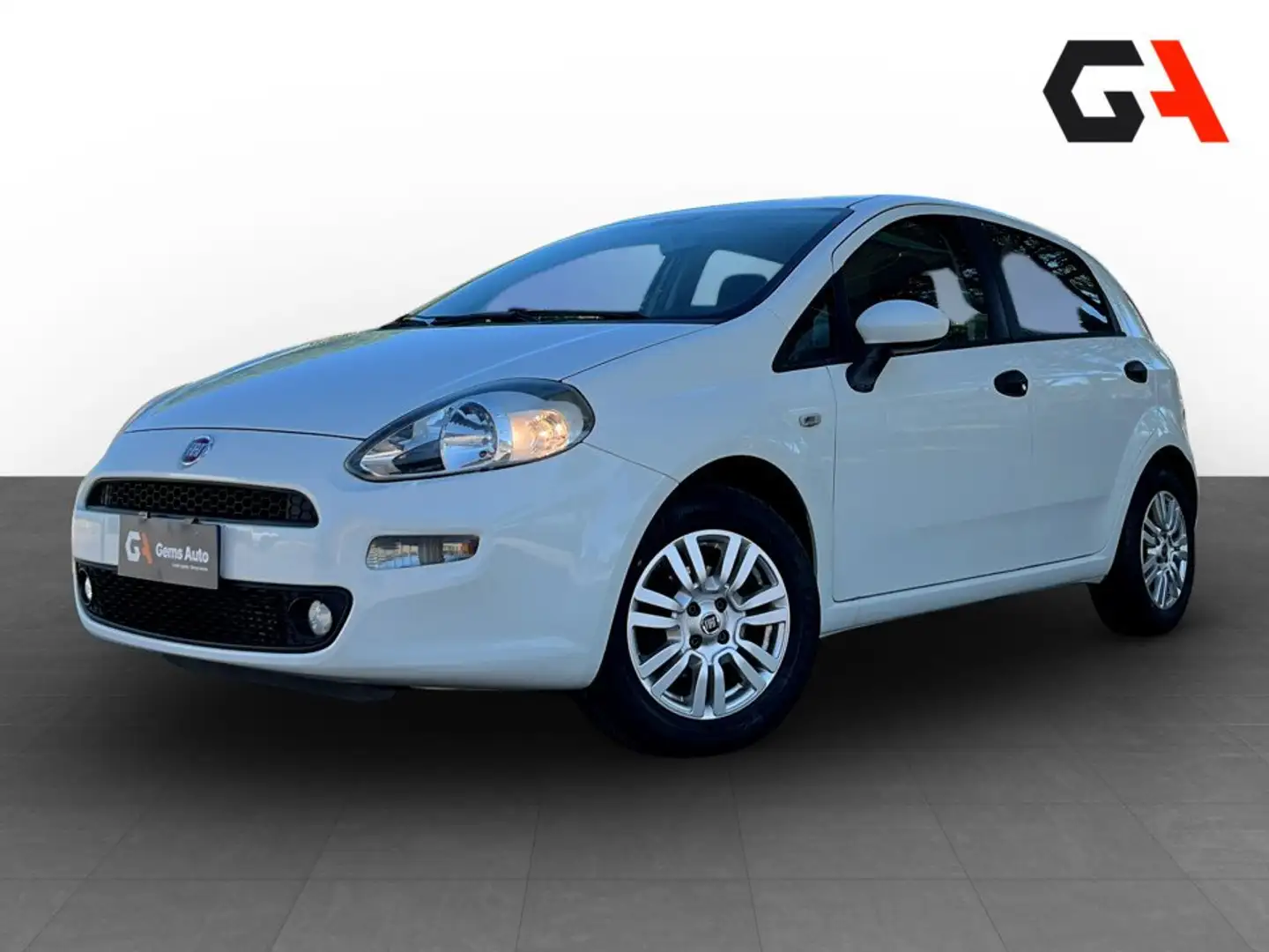 Fiat Punto Punto 1.3 MJT II 75 CV 5 porte Street - 1