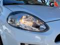 Fiat Punto Punto 1.3 MJT II 75 CV 5 porte Street - thumbnail 9