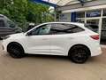 Ford Kuga 1.5EcoB.''ST-LINE X''Kamera,LED,20'' Wit - thumbnail 5