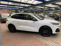 Ford Kuga 1.5EcoB.''ST-LINE X''Kamera,LED,20'' Wit - thumbnail 4