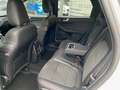 Ford Kuga 1.5EcoB.''ST-LINE X''Kamera,LED,20'' Wit - thumbnail 12
