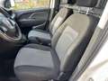 Fiat Doblo Doblò 1.6 MJT 105CV S&S PC-TN  coibentato Weiß - thumbnail 10