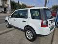 Land Rover Freelander 2.2 td4 sw HSE 150cv Blanc - thumbnail 5