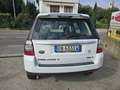 Land Rover Freelander 2.2 td4 sw HSE 150cv Blanc - thumbnail 6