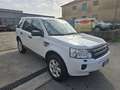 Land Rover Freelander 2.2 td4 sw HSE 150cv Blanc - thumbnail 3