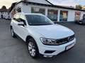 Volkswagen Tiguan Highline BMT/Start-Stopp 4Motion Bianco - thumbnail 4