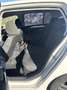 Volkswagen Golf 1.4 TSI Advance - thumbnail 8
