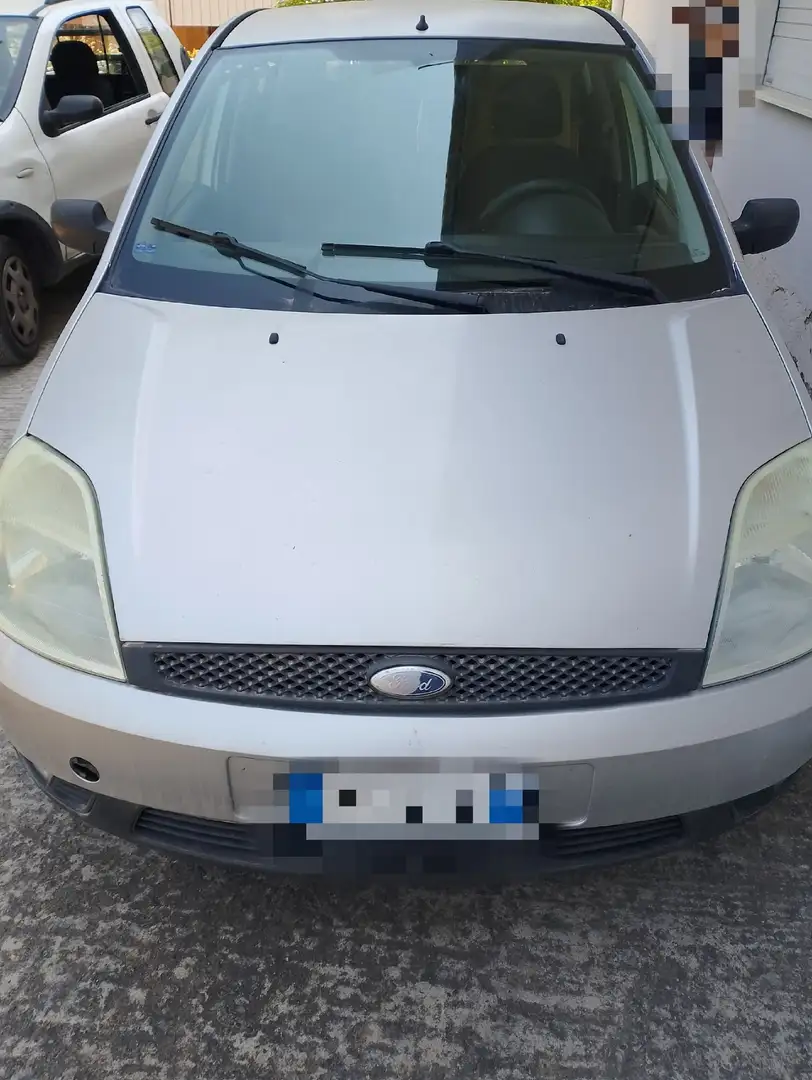 Ford Fiesta Grigio - 2