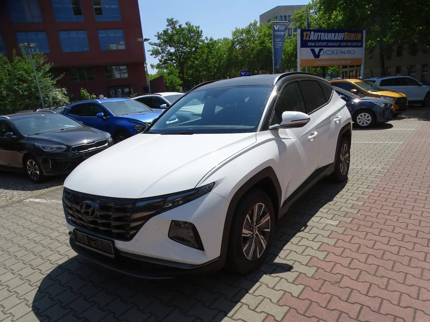 Hyundai TUCSON 1.6 T-GDI Plug-In Hybrid 4WD Autom. Weiß - 1