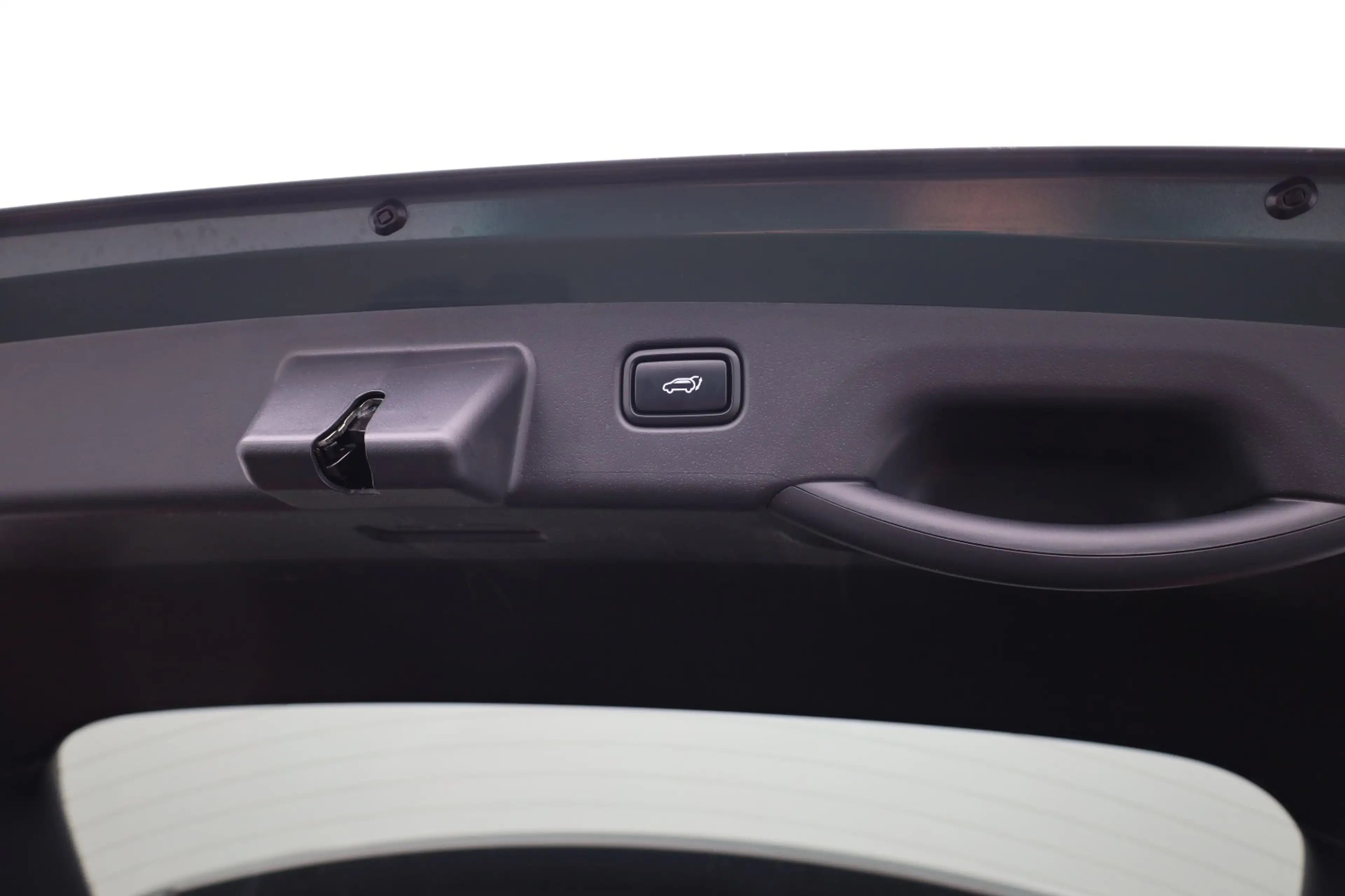 Kia e-Niro EV DynamicPlusLine 64.8 kWh | Leer | Pano | Trekha — photo 39