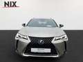 Lexus UX 250h 2.0 Hybrid Style Edition LED SHZ Silber - thumbnail 5